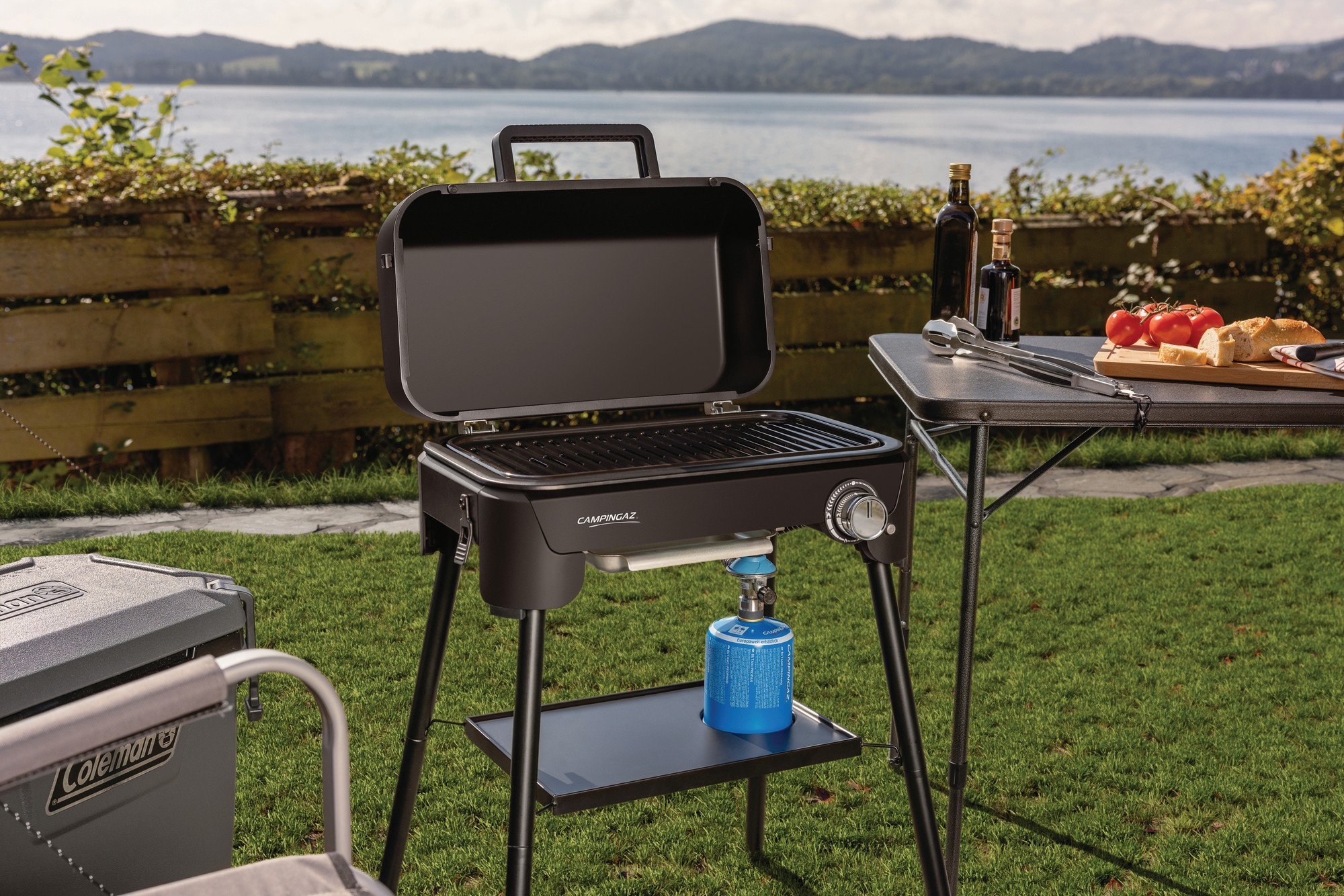 BBQ Tour & Grill CV Plus